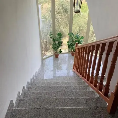 Qerana's Rooms: Corner Of Nature *