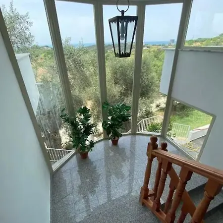 Qerana's Rooms: Corner Of Nature Golem (Tirana)