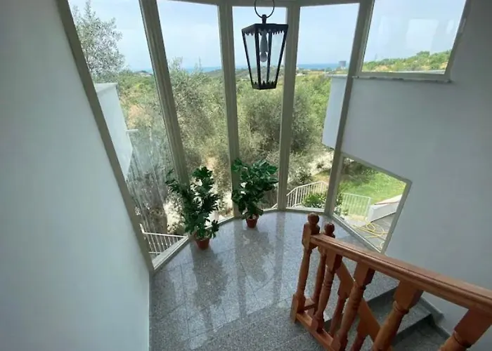 Qerana's Rooms: Corner Of Nature Golem (Tirana)